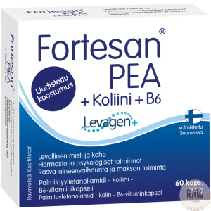 Hankintatukku Fortesan PEA + koliini + B6  60kaps.